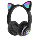 CAT AUDIO